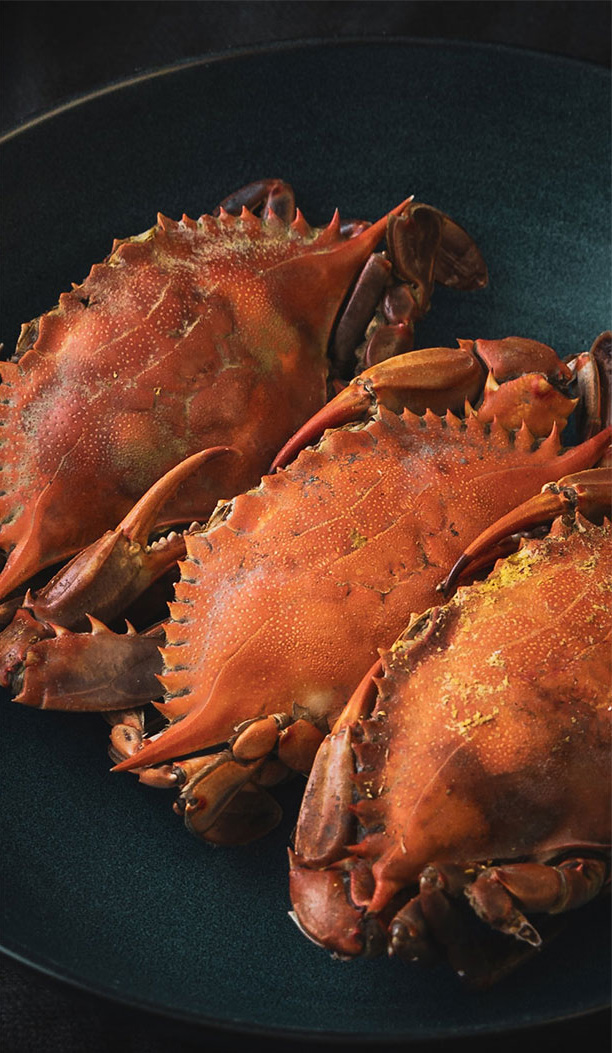 Best cafe near Mussoorie Road