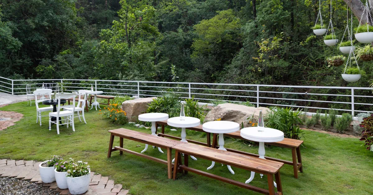 Cafe in Rajpur Road Dehradun