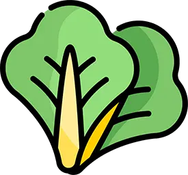 Nature’s Finest on Your Plate