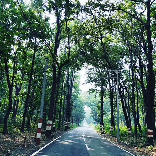 Thano Village Offbeat Places Near Dehradun